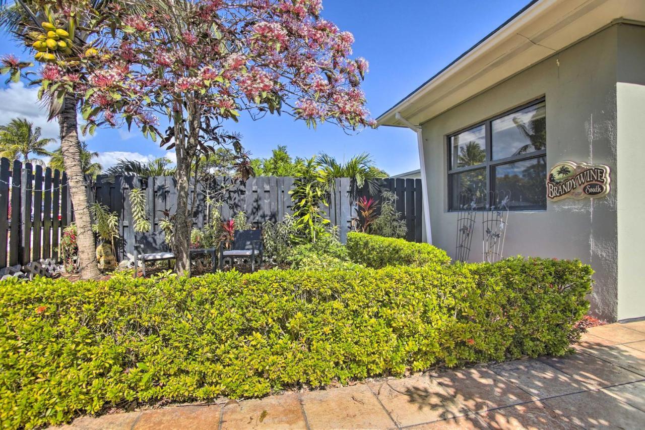 Cozy Solo Or Couples Retreat In Ft Lauderdale! Leilighet Fort Lauderdale Eksteriør bilde